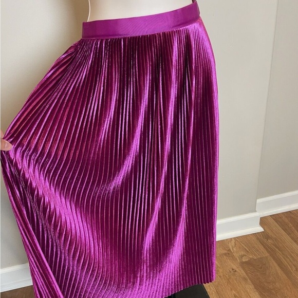 Zara Velvet Pleated Skirt - Picture 10 of 11